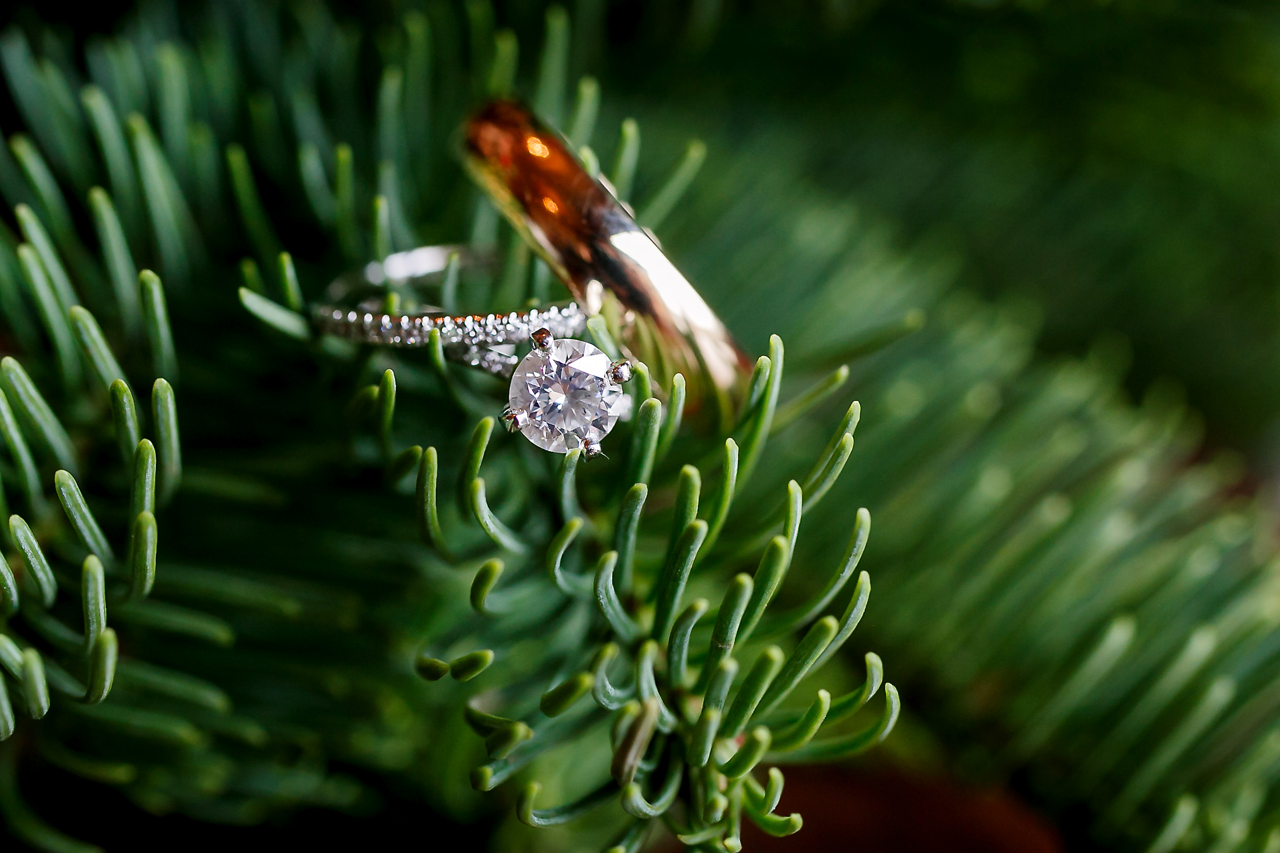 How to Pull Off a Surprise Proposal During the Holidays