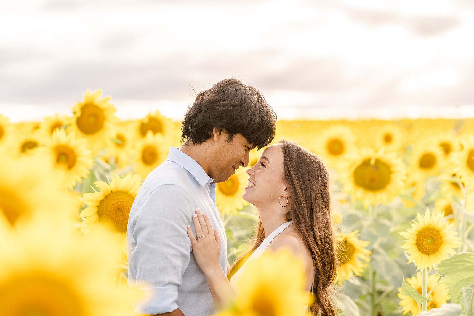 Dreamy Sunflower Engagement in Australian country